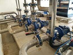 Thái Khương Pums 3