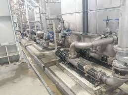 Thái Khương Pums 6