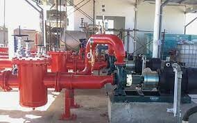 Thái Khương Pums 8