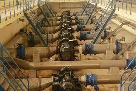 Thái Khương Pums 9