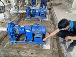 Thái Khương Pums 10