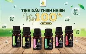 Vina Oils  10