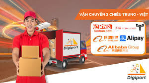 Dpt vina holdings 11