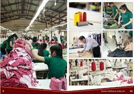 Công Ty Sản Xuất Thương Mại Và Xây Dựng Chấn Lập 12