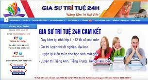 Gia sư Trí Tuệ 24h 9