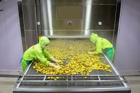 Thực Phẩm Lý Khang 4