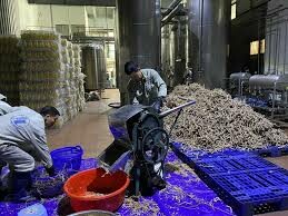 Lâm sản Thăng Long 9