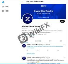 Zeal Capital Market 8