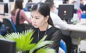 Aureole Information Technology 8