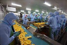 Thực Phẩm Lý Khang 2