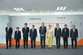 Mapletree 1