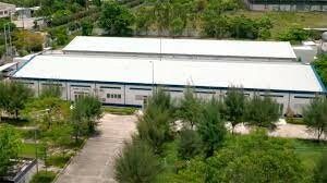 Công Ty TNHH Cana Young 10