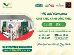CÁNH ĐỒNG VÀNG 10