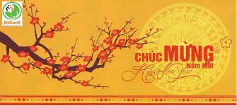 BIZMO INVESTMENT MANAGEMENT J.S.C 9