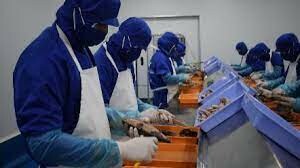 Petfood Evolution 10