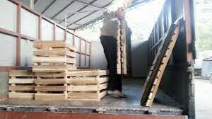 Lâm sản Thăng Long 4