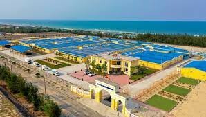 Thủy Sản Miền Trung - SEADANANG 7