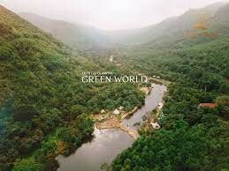 GREEN WORLD 1