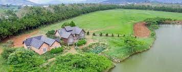 Công Ty Sữa Đà Lạt 10