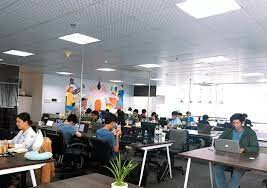 Golden Owl Consulting 8