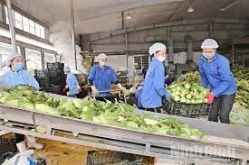 CÔNG NGHỆ THỰC PHẨM NAM AN 2