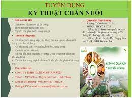 CHĂN NUÔI TAFA VIỆT 4