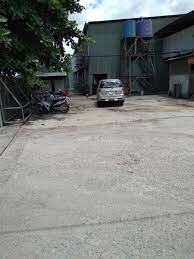 Cám Gạo Honoroad Viêt Nam 2