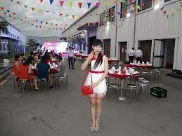 Gre Alpha Electronics 2