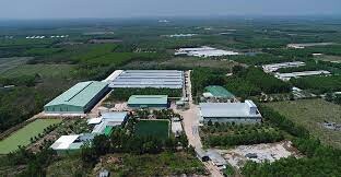 CHĂN NUÔI TAFA VIỆT 3