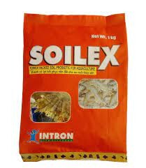 Intron Life Sciences Việt Nam 8