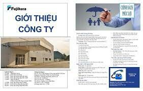 FUJIKURA FIBER OPTICS VIỆT NAM 10