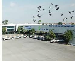 Kính An toàn Việt Nhật 10