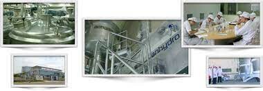 ASIA Saigon Foods Ingredients JSC - AFI 13