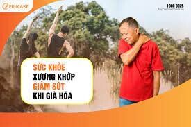 CÔNG TY THƯƠNG MẠI QUỐC TẾ FUJICARE 8