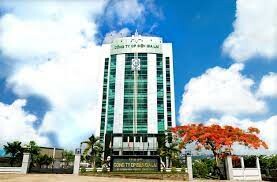 Điện Gia Lai - GEC 11