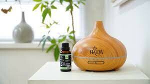 Tập đoàn Quốc tế HAGROUP - Ha Eva 3