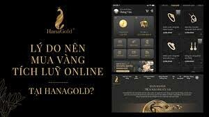 Vàng Bạc Đá Quý HanaGold 3