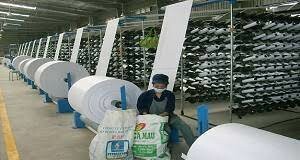 Sản Xuất Bao Bì Giấy Hải Đăng 15