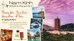 Thương Mại Và Du Lịch Tân Hồng 7