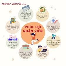 Mayora Việt Nam 3