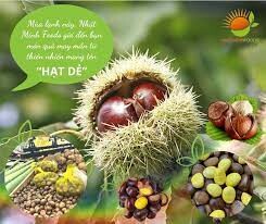 Thực phẩm Nhật Minh 3