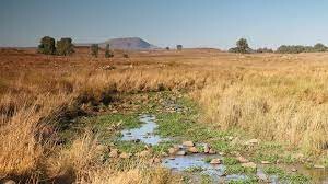 SUSTAINABLE DEVELOPMENT S.U.D 1