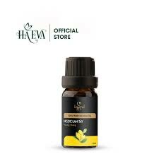 Tập đoàn Quốc tế HAGROUP - Ha Eva 2