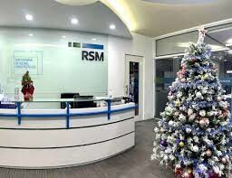 Kiểm toán RSM Việt Nam 2