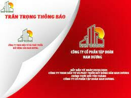 Tập Đoàn Nam Dương 6