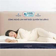 Nệm Mousse Liên á 16