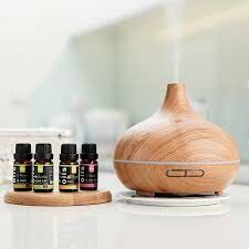 Tập đoàn Quốc tế HAGROUP - Ha Eva 1