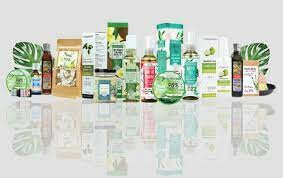 Động Học Stella 9