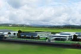 Laurelton Diamond Việt Nam 2