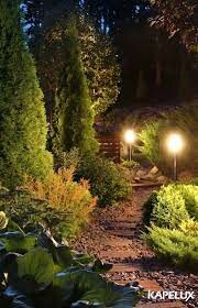 Chiếu Sáng Croled 9